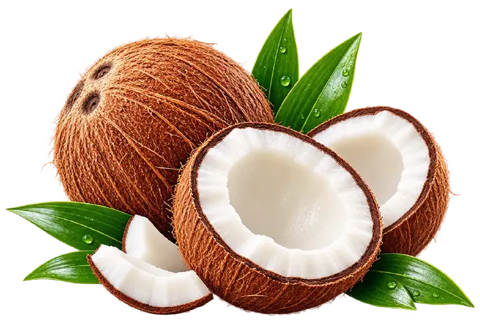 Coconut Oil